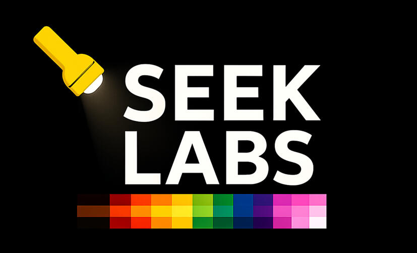 SEEK LABS graphic with bold white text and an inclusive pride-color banner, symbolizing choosing a calling, hobby, passion, or skill to monetize with AI.